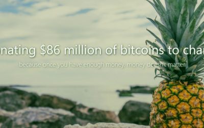 Pineapples and Ecstasy: Charitable Giving in the Bitcoin Era